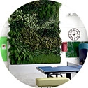 living walls create modern corporate image