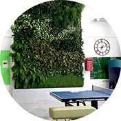 Living walls for offices and commercial buildings