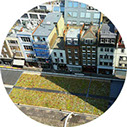 green roofs to create green space