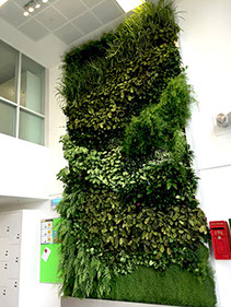 Living wall at Elsevier's London offices