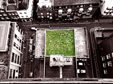 green roof installation in London