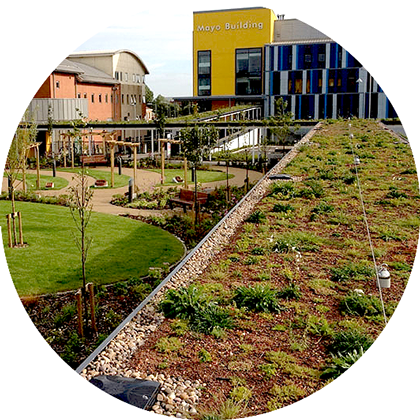 Green roofs and living walls in London and the UK 