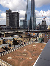 Regenerated living roof at PWC London