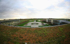 Living Roof at Rolls Royce Plant