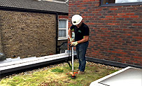 Maintaining a Green or Living Roof