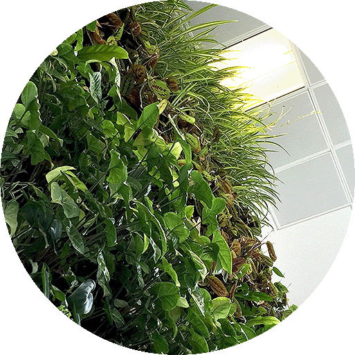 Living walls and vertical gardens by Landmark